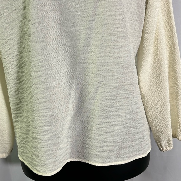 Madewell Ivory Long Sleeve Button Front Crinkle Blouse - Picture 14 of 16